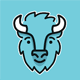 Bison